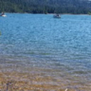 Meet your Posher, Ladislao